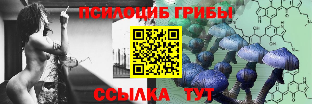 Галлюциногенные грибы Cubensis  Вход с VPN  Псилоцибиновые грибы Cubensis  где можно купить наркотик  Аксай 